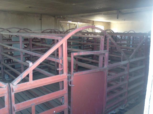 hog_pens_%28located_in_building_on_hog_farm%29.jpg