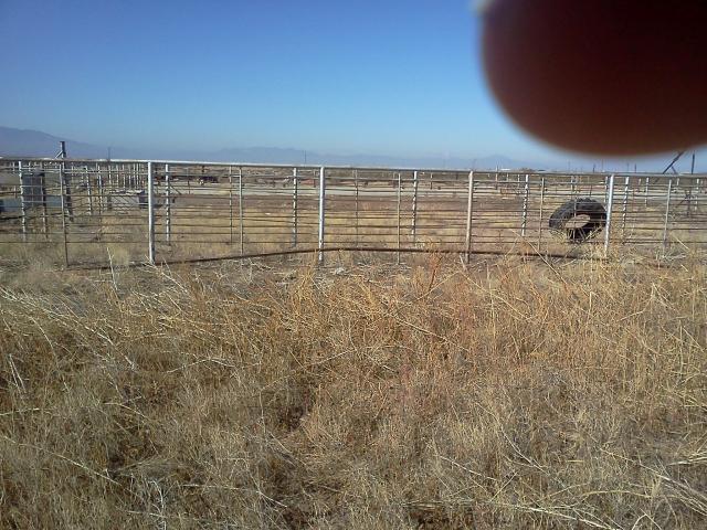 metal_corrals_%28affixed%29.jpg